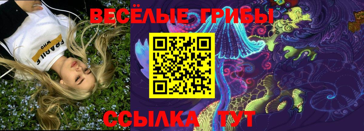 Галлюциногенные грибы Psilocybe Кострома